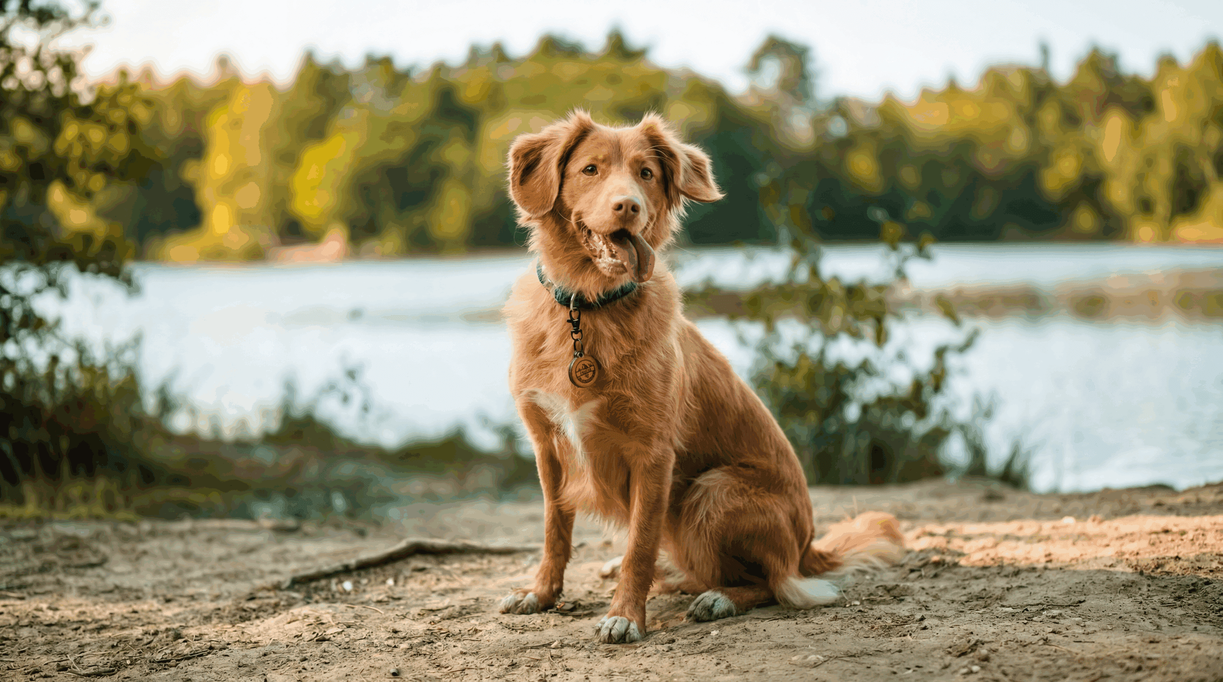 Familia con su perro disfrutando del cuidado profesional de Cooper